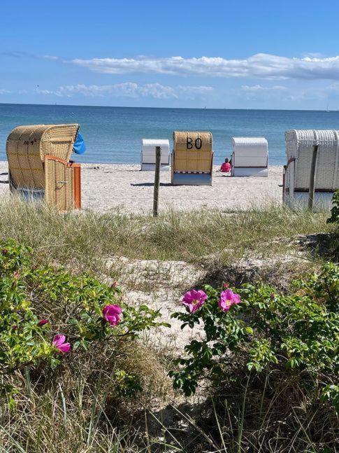 Fewo-Mit-Terasse-U-Garten-Am-Golfplatz Wulfen auf Fehmarn Екстер'єр фото